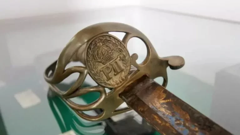 PROPORCAO-SITE-2025-11-07T094335.054