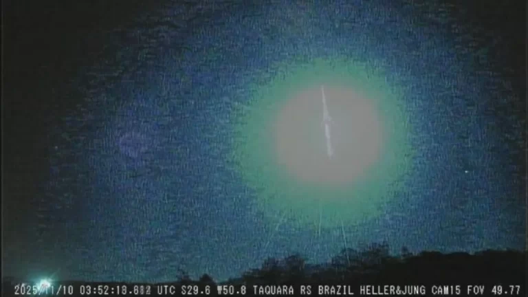 PROPORCAO-SITE-2025-11-11T082024.062