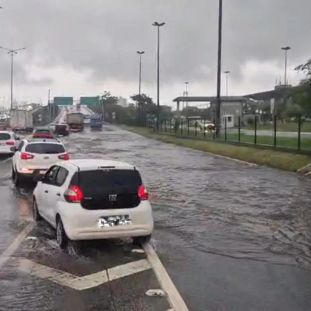 Kit Arte DOMCONEXAO SC (50)