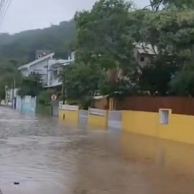 Kit Arte DOMCONEXAO SC (51)