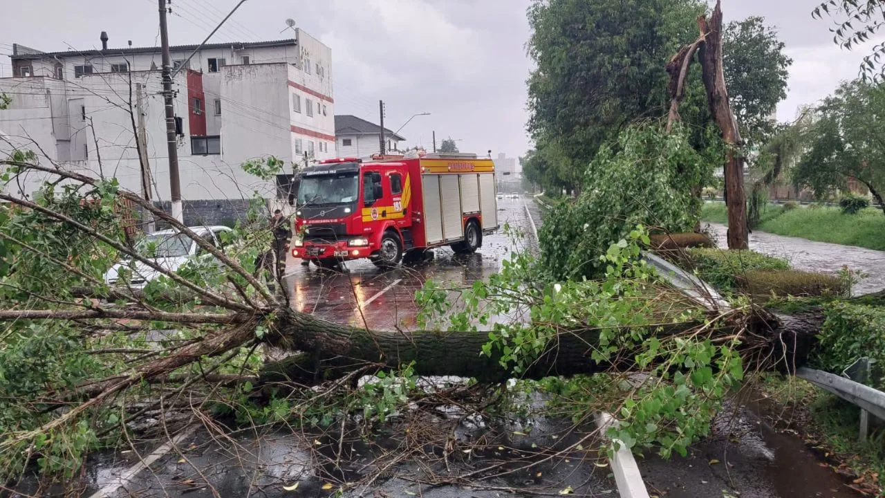 Temporal-e-granizo-causam-destruicao-e-deixam-mais-de-9-mil-sem-luz-em-Lages