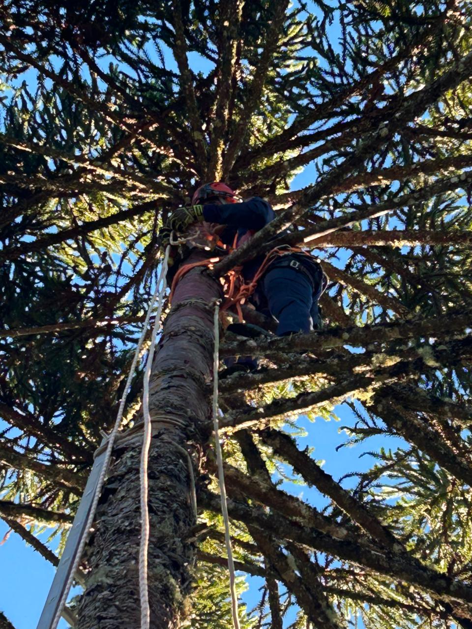 IMG-20260419-WA0016(1)