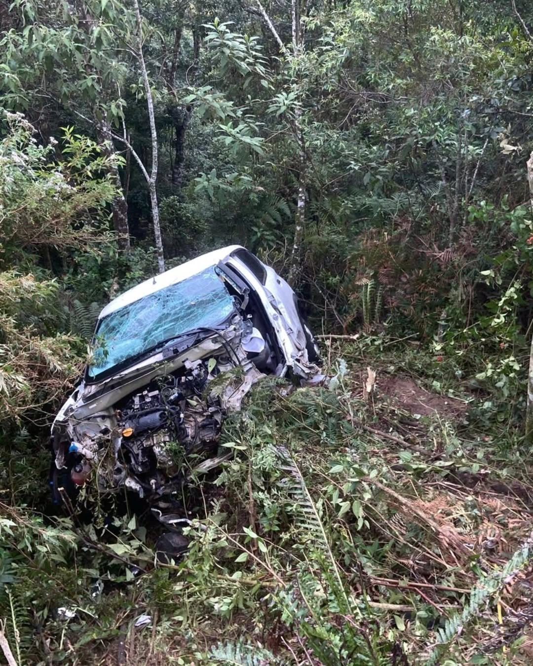 SaveClip.App_659733227_18088142477351154_3128754308468770292_n (1)