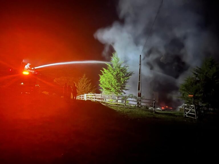 SaveClip.App_660978872_18460856431097829_6227758571522923017_n