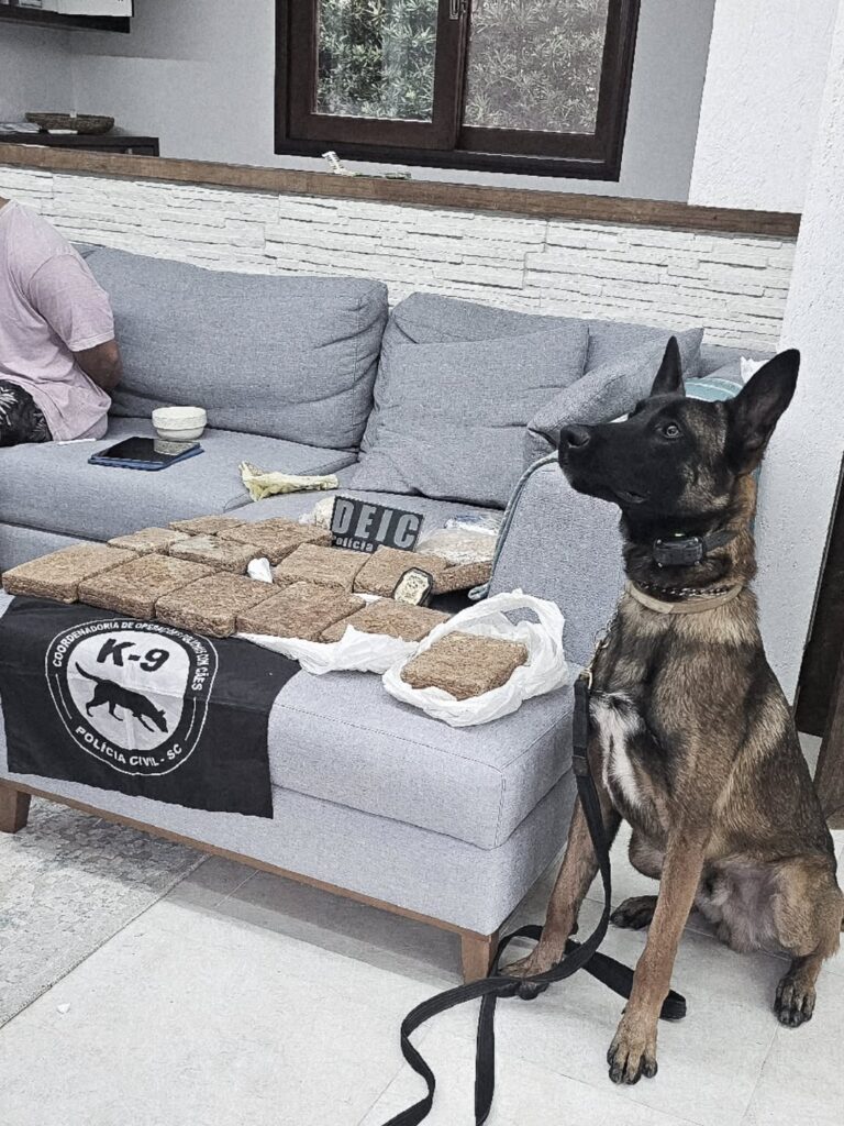 SaveClip.App_670725074_18116126638677841_1379838626943197373_n