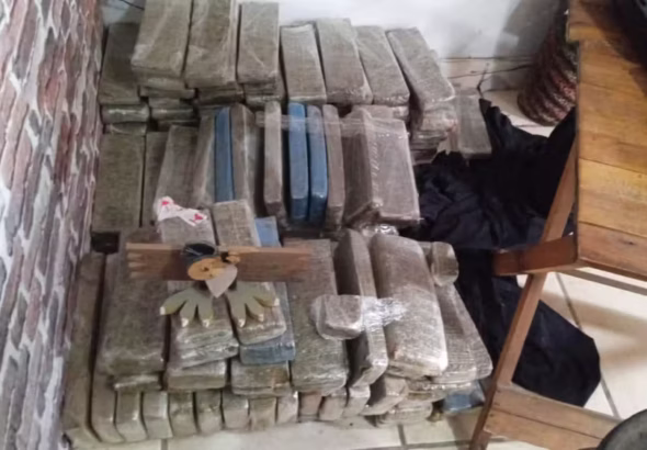 acao-em-5-estados-contra-crime-organizado-que-movimentou-r-1-bilhao-apreende-1-tonelada-de-maconha